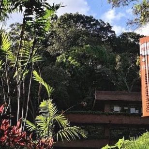 250626b-ufm-jardin-harry-days