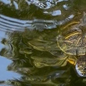 251017b-tortugas-arboretum-ufm