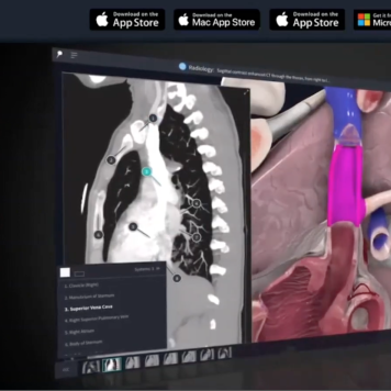 Captura de Pantalla 2022-03-23 a la(s) 15.12.14