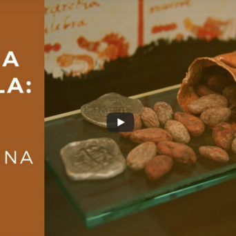 Captura de pantalla 2021-08-30 a la(s) 9.12.28 a. m.