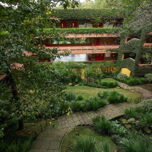 UFM-harry-diaz-230331