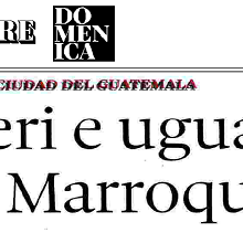 articulo mingardi thumb