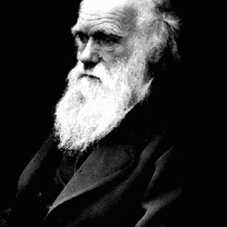 darwin_charles