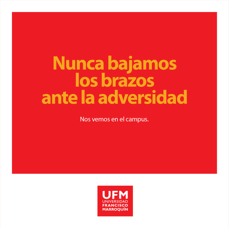 FB_POST_ORGANICO_4_2048x2048