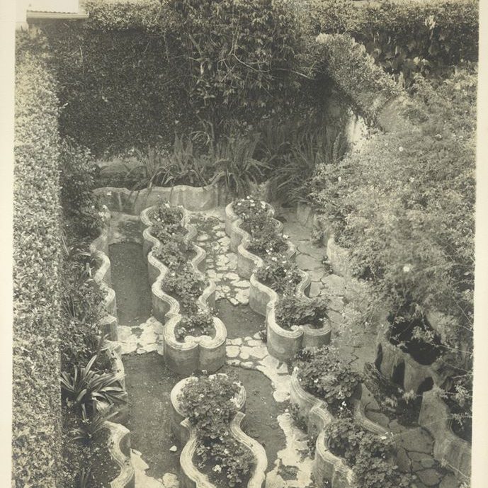 jardin-de-hierbas-cas-popenoe-ufm