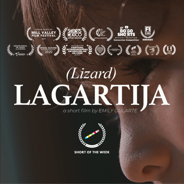 lagartija-emily-gularte-shortoftheweek