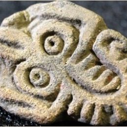 mpv_artropodos_140502