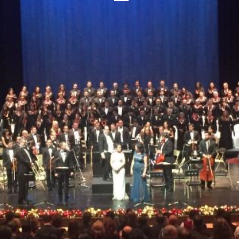 Screenshot_20181119-194559~2