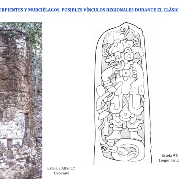 serpientes y murcielagos