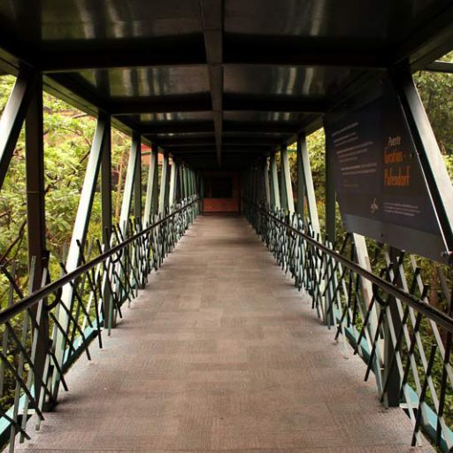 snoticiasrsimagersargsbd150212_ufm_puentersargsbd