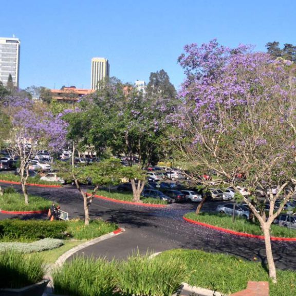 snoticiasrsimagersargsbd150325_ufm_arboretumrsargsbd