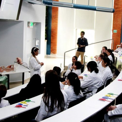 snoticiasrsimagersargsbd150520_ufm_nutricionrsargsbd