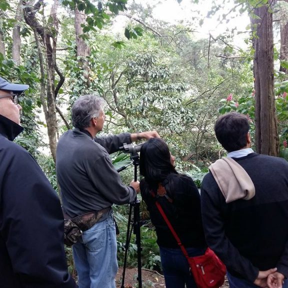 snoticiasrsimagersargsbdbirdnormalrsargsbd