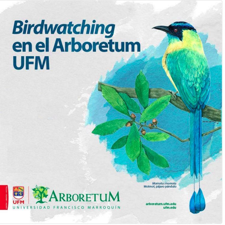 snoticiasrsimagersargsbdbridnormalrsargsbd