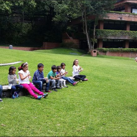 snoticiasrsimagersargsbdchampunormalrsargsbd