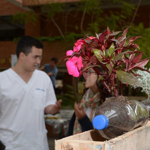 snoticiasrsimagersargsbddiseñonormalrsargsbd