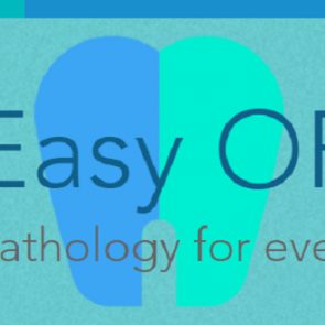 snoticiasrsimagersargsbdeasyoprsargsbd