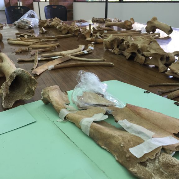 snoticiasrsimagersargsbdimg_4687.jpgrsargsbd