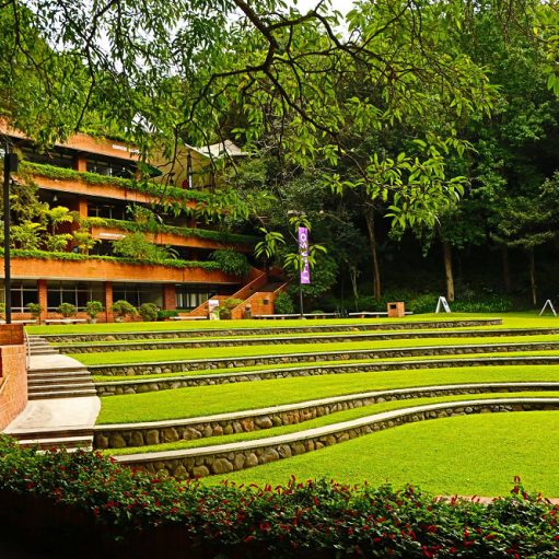 snoticiasrsimagersargsbdmayaugardenrsargsbd