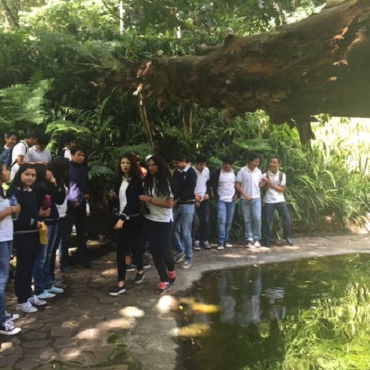 snoticiasrsimagersargsbdvisitasnormalrsargsbd