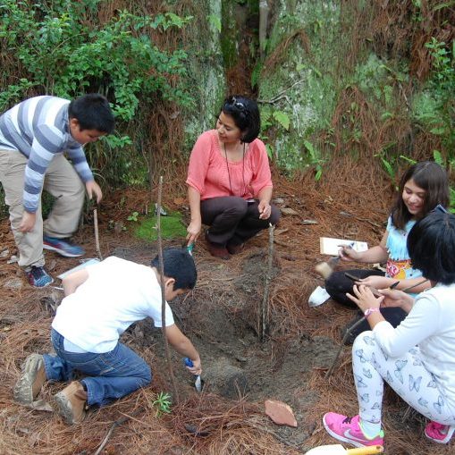 Taller libre_25jun_1