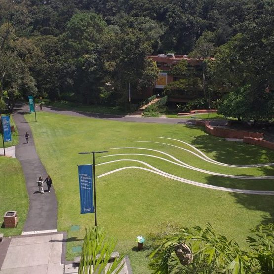 ufm-harry-diaz-231008